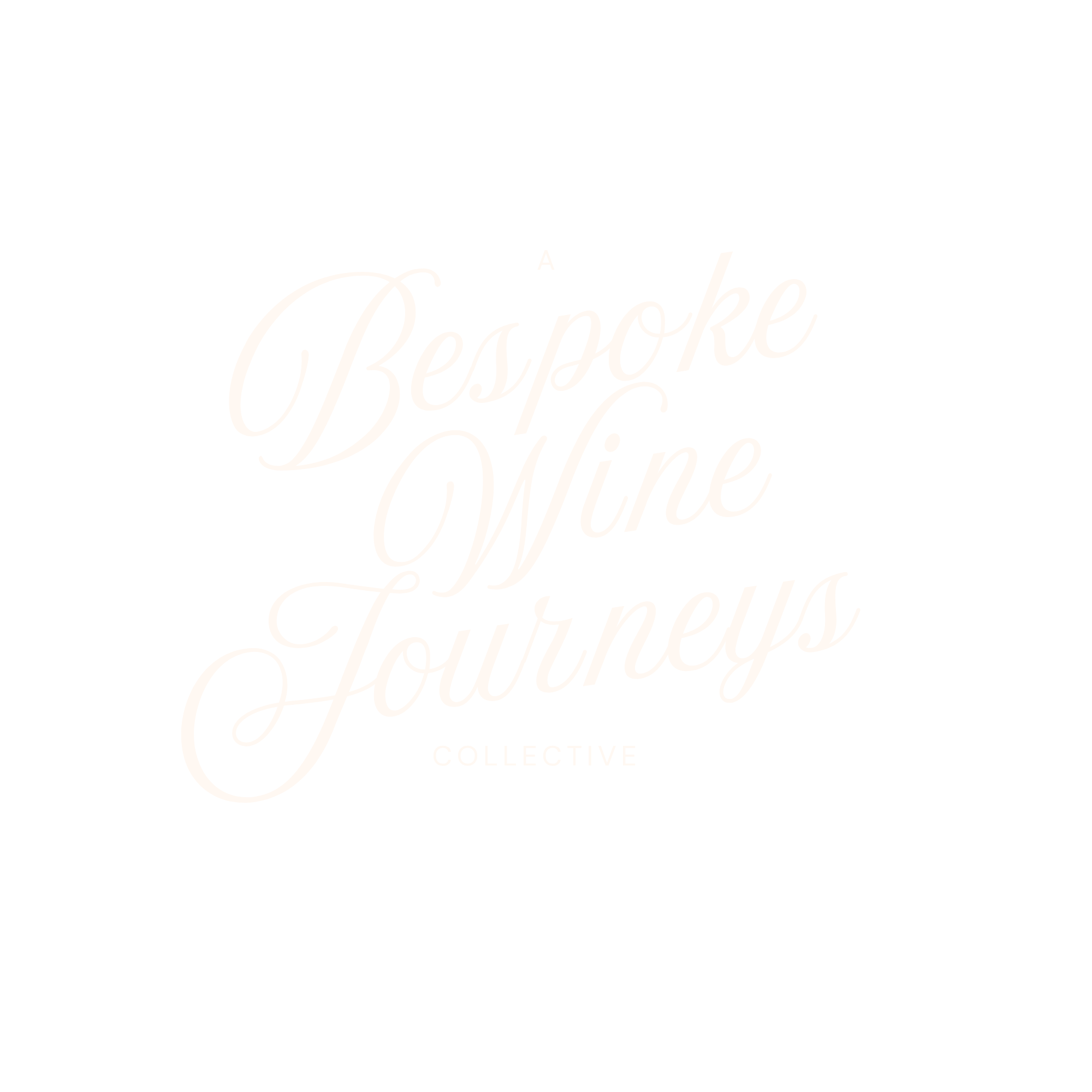 A Bespoke Wine Journeys Collective
